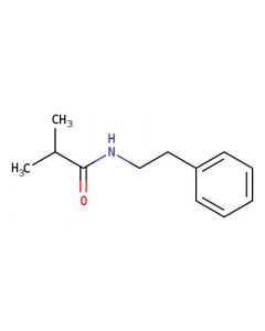 Astatech N-PHENETHYLISOBUTYRAMIDE; 0.25G; Purity 95%; MDL-MFCD01214244